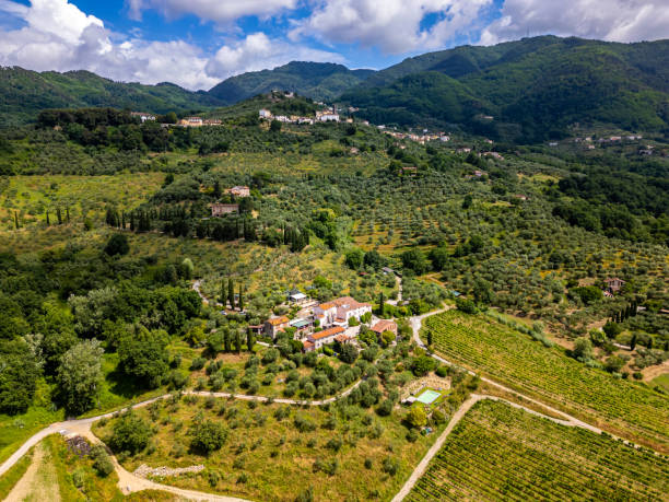Vigneti e colline della Lucchesia visti dall'alto